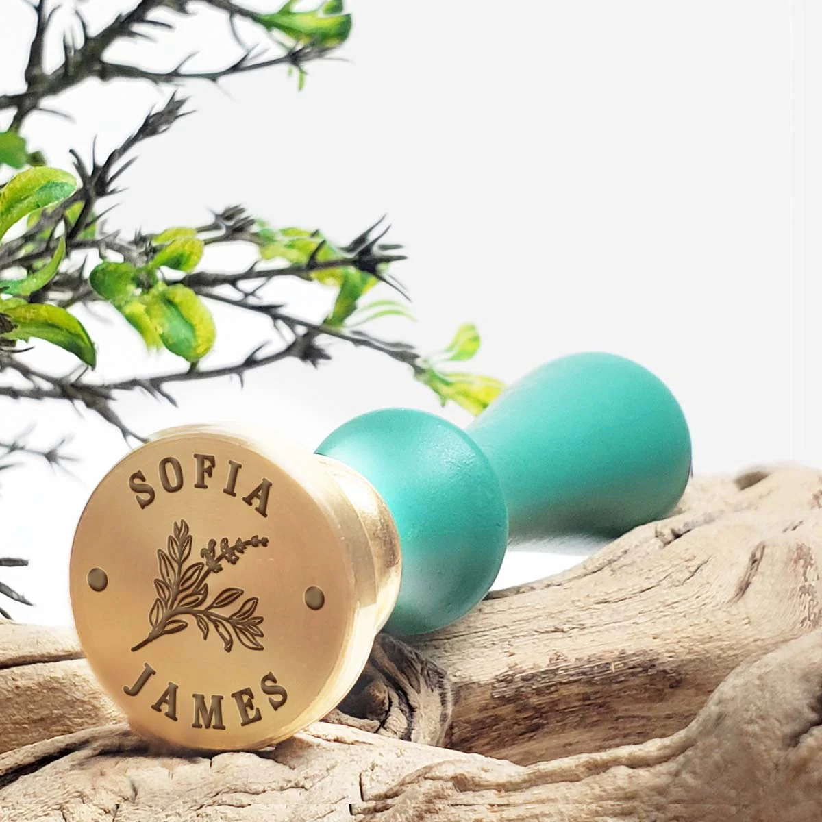 Botanical with Names Monogram Wax Seal Stamp #8708