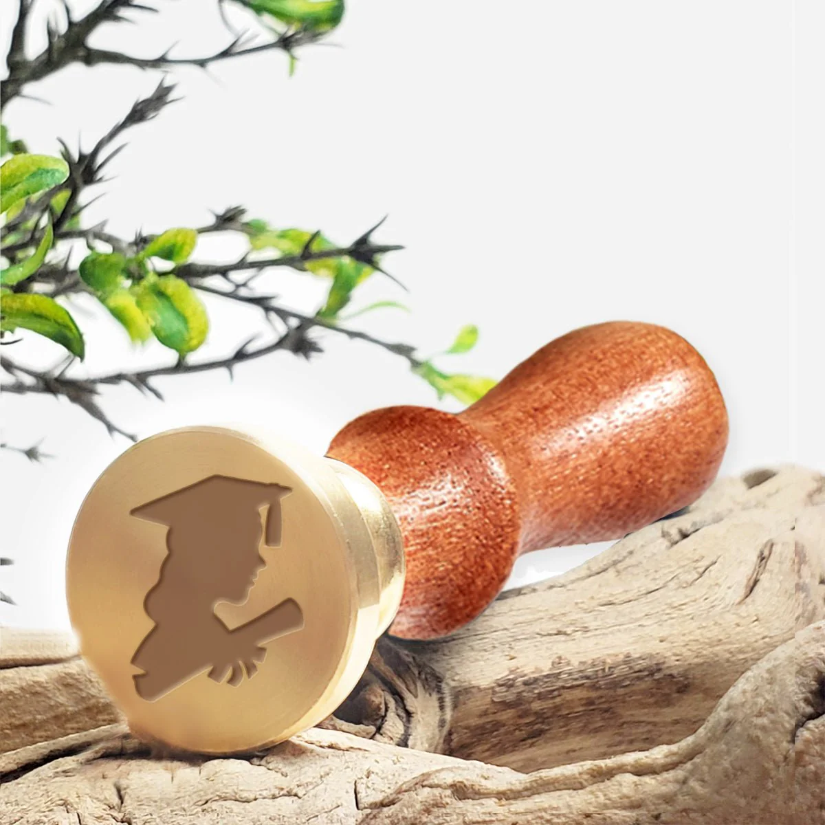 Graduate Girl Wax Seal Stamp with Rosewood Wood Handle #R950