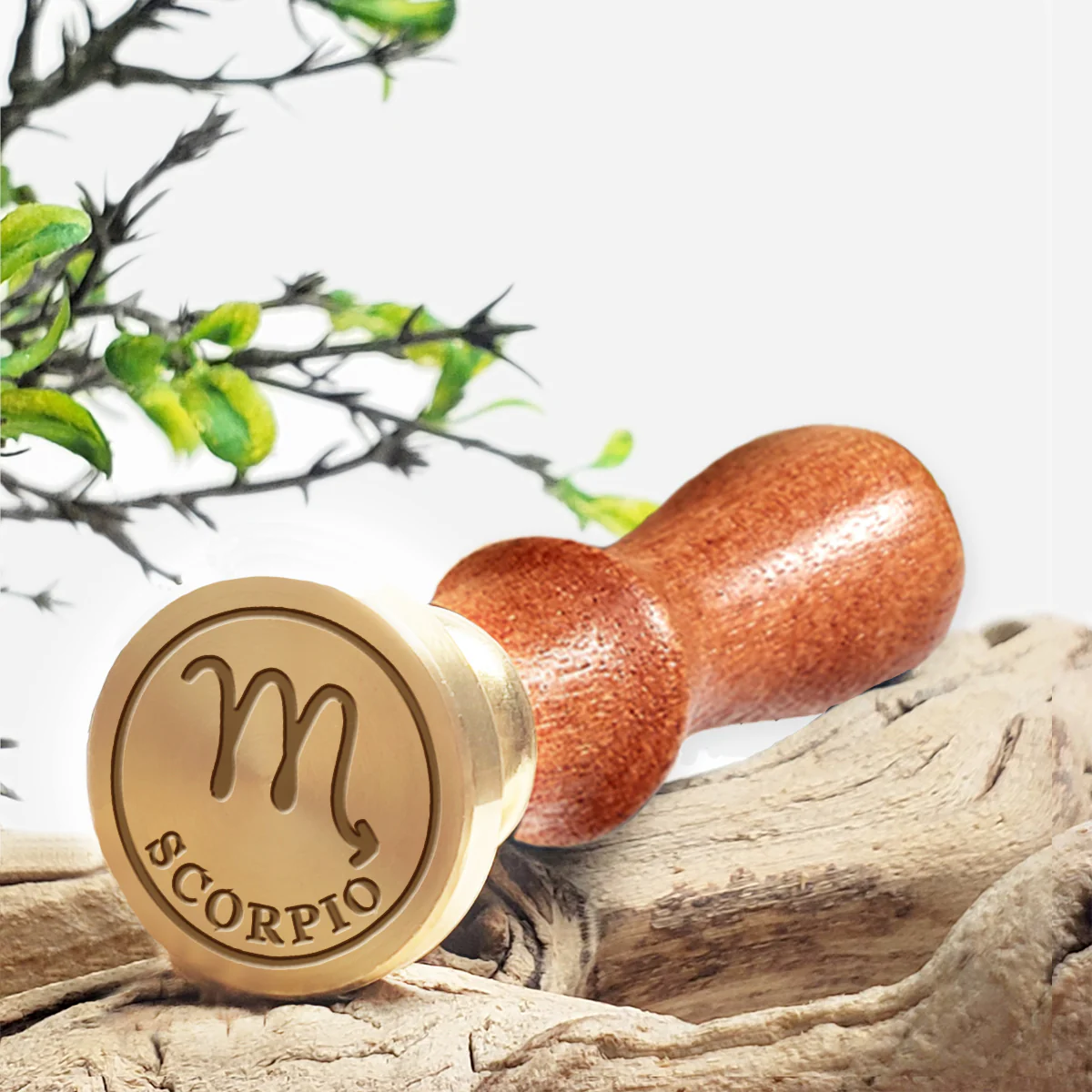 Scorpio Zodiac Astrology Sign Wax Seal Stamp #424- USA Handcrafted